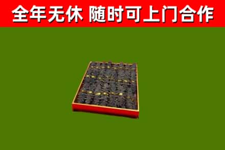 南安烟酒回收海参.jpg